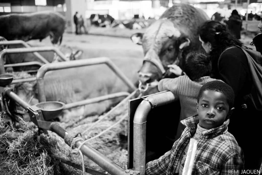 Photographe Paris - Serie People of Paris - Salon de l'agriculture - Jeune garçon intrigué