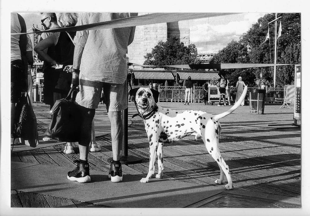 tirage argentique new york